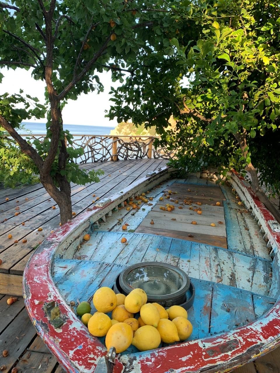 Detail of the old boat with fresh lemons resting inside