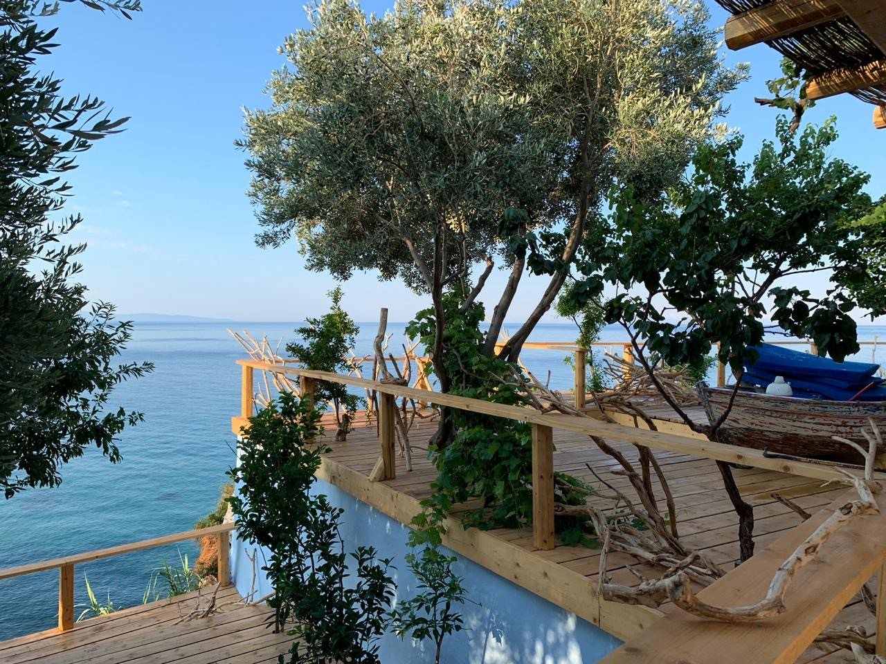 Olive tree and deck with the garden and sea beyond